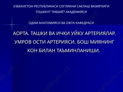 аорта, ташки ва ички уйку артериялар. умров ости артерияси. бош миянинг кон билан таъминланиши — PPT