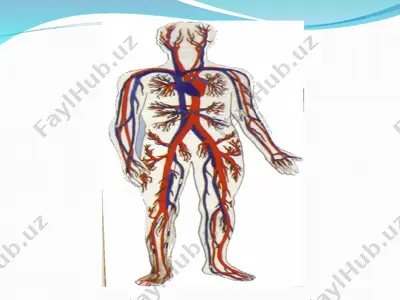 yurak (pulmonary) — PPT