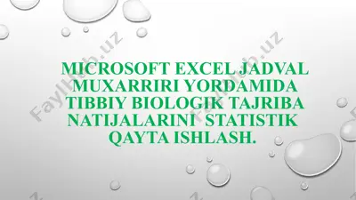 microsoft excel — PPTX