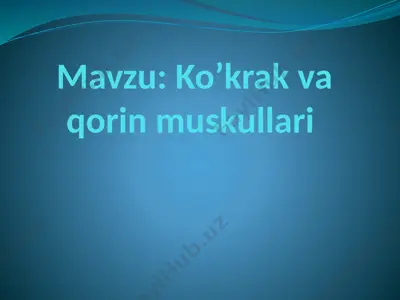 ko’krak vaqorin muskullari — PPTX