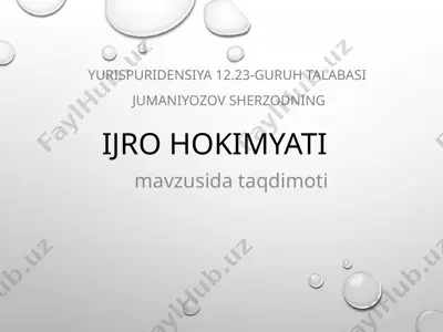 ijro hokimyati — PPTX