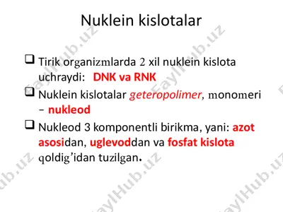 nukleinkislotalar — PPTX