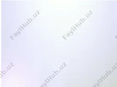 tashkiliy hujjatlar va ularning turlari — PPTX