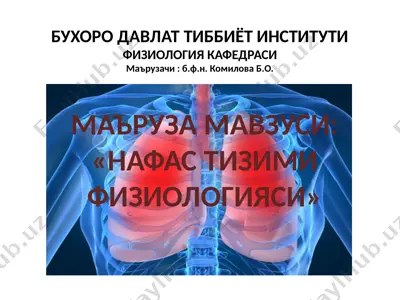 nafastizimifiziologiyasi — PPTX