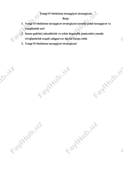 yangi o’zbekiston taraqqiyot strategiyasi — DOCX