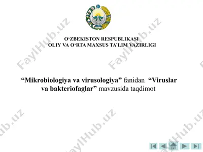 viruslar va bakteriofaglar mavzusi darslik — PPTX