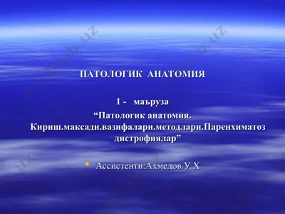 patologik anatomiya — PPT