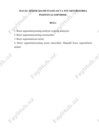 bozor segmentatsiyasi va tovarni bozorda pozitsiyalashtirish — DOCX