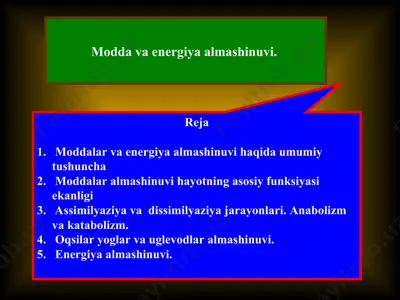 modda va energiya almashinuvi — PPT