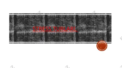 stress turlari — PPTX