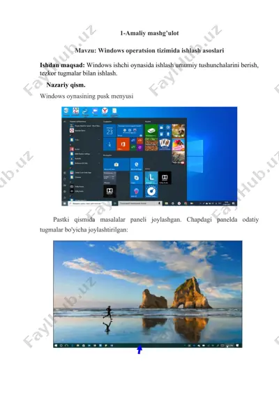 windows operatsion tizimida ishlash asoslari — DOC