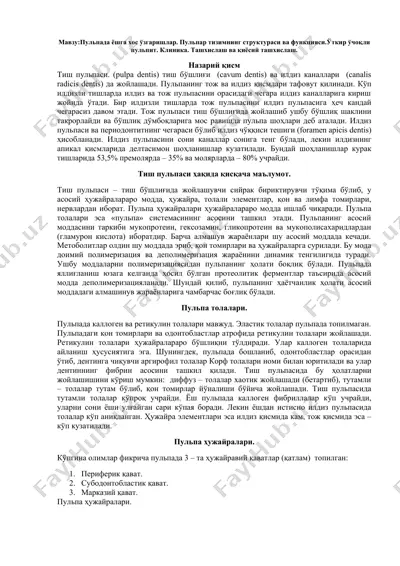 tiш pулпaси ҳақида маълумот — DOC