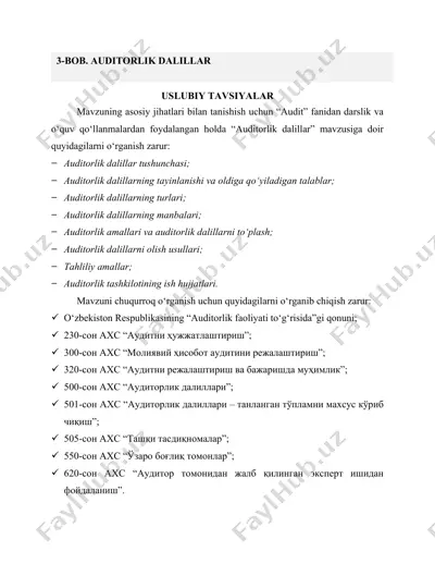 auditorlik dalillar — DOC
