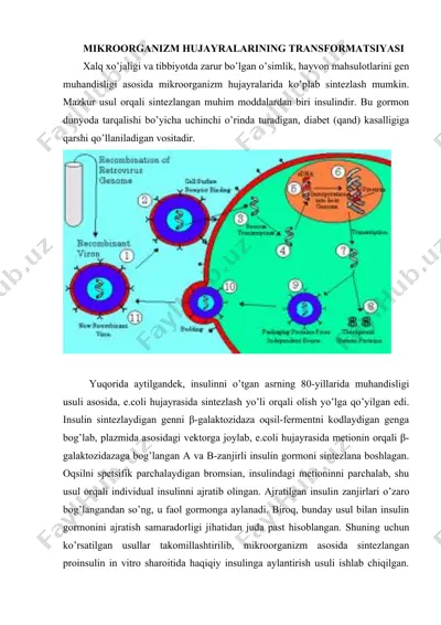 insulin — DOC