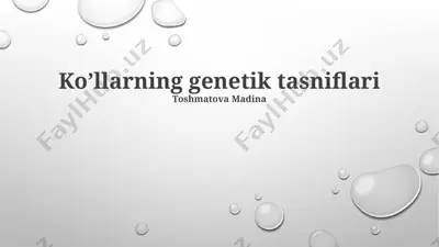 ko’llarning genetik tasniflari — PPTX
