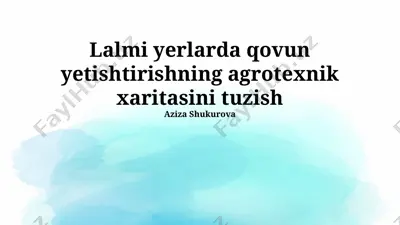 qovun yetishtirishning agrotexnik xaritasini tuzish — PPTX