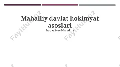 mahalliy davlat hokimyat asoslari — PPTX