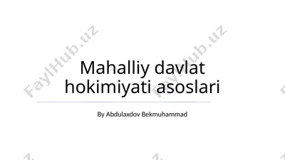 mahalliy davlat hokimiyati asoslari — PPTX
