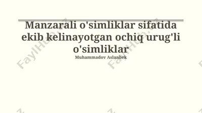 ochiq urug'li o'simliklar — PPTX