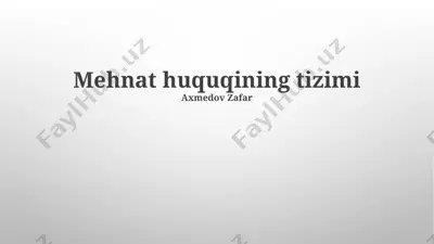 mehnat huquqining tizimi — PPTX