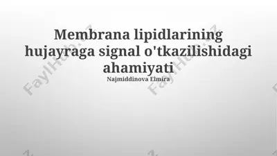 membrana lipidlarining hujayraga signal o'tkazilishidagi ahamiyati — PPTX