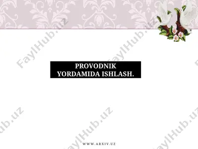 provodnik yordamida ishlash — PPTX
