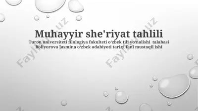 muhayyir she'riyat tahlili — PPTX