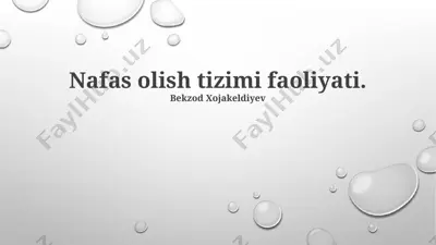 nafas olish tizimi faoliyati — PPTX