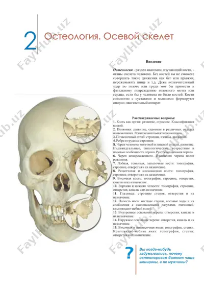 gemearocus — PDF
