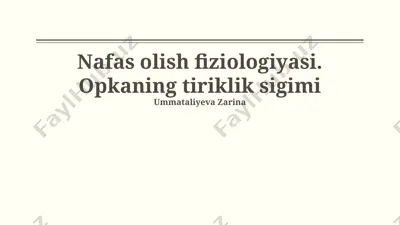 nafas olish fiziologiyasi — PPTX