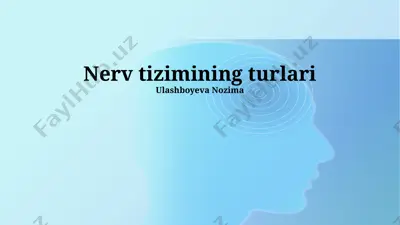 nerv tizimining turlari — PPTX