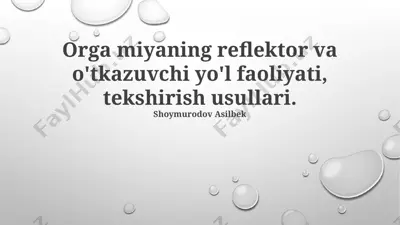reflektor va o'tkazuvchi yo'l faoliyati — PPTX