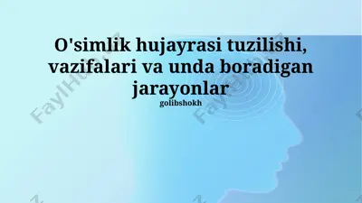 o'simlik hujayrasi — PPTX