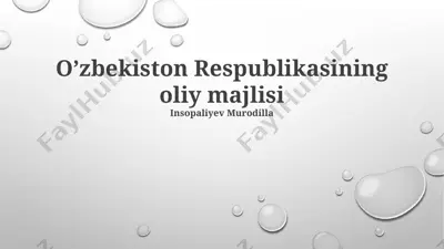 oliy majlisning faoliyati — PPTX
