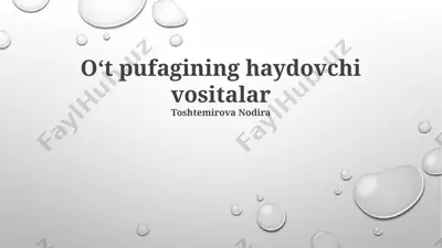 oʻt pufagining haydovchi vositalar — PPTX