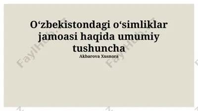 oʻzbekistondagi oʻsimliklar jamoasi haqida umumiy tushuncha — PPTX
