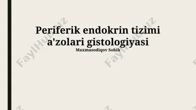 periferik endokrin tizimi a'zolari gistologiyasi — PPTX