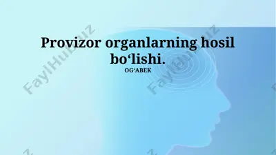vaqtinchalik organlarning hosil bo‘lishi — PPTX