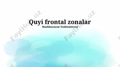 quyi frontal zonaning anatomiyasi — PPTX