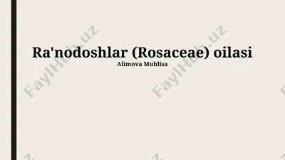ra'nodoshlar (rosaceae) oilasi — PPTX