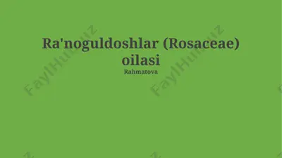 ra'noguldoshlar (rosaceae) oilasi — PPTX