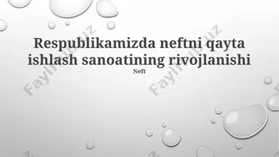 neft — PPTX