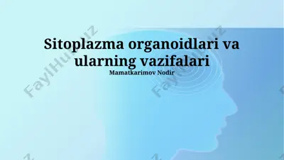 sitoplazma organoidlari va ularning vazifalari — PPTX