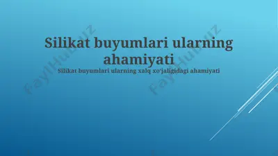 silikat mahsulotlari — PPTX