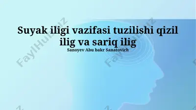 suyak iligi vazifasi tuzilishi — PPTX