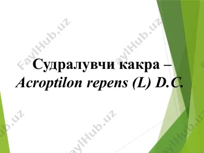 судралувчи какра (acroptilon repens) — PPTX