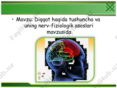 diqqat tushunchasi va uning nerv-fiziologik asoslari — PPT
