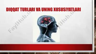 diqqat turlari va ularning xususiyatlari — PPTX