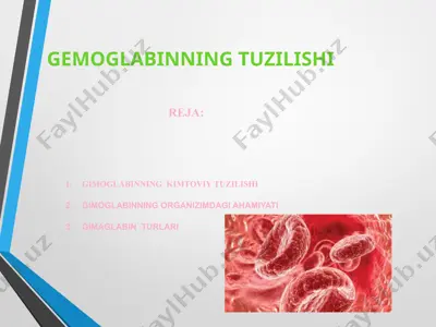 gemoqlabinning tuzilishi — PPTX