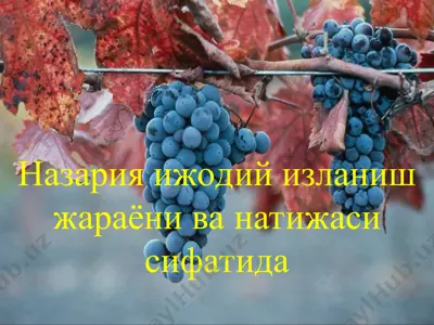 nazariya — PPT